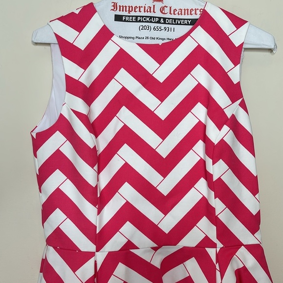 Elizabeth McKay || Hot Pink Bamboo Chevron Fit & Flare Dress w/POCKETS; Size 2 - Picture 7 of 17